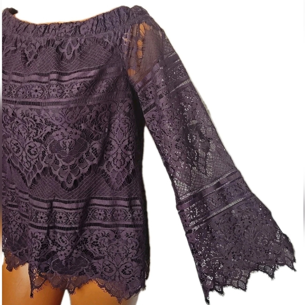 Y2K Whimisgoth Sheer Lace Off Shoulder Top Woman Large Plum Purple Vtg Apt 9